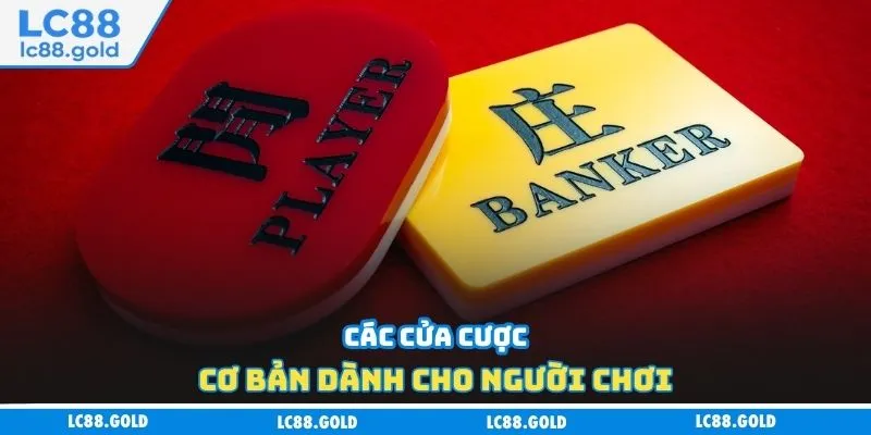 Các cửa cược cơ bản dành cho người chơi Các cửa cược cơ bản dành cho người chơi
