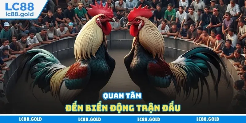 Quan tâm đến biến động trận đấu